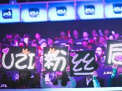 狗斯林是什么意思 x斯林的说法起源