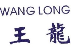 弹幕节奏中的王龙 没人能得到他的认可