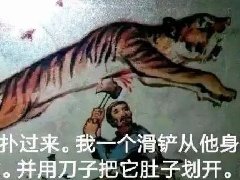 老虎滑铲什么梗 原贴出自老抗压吧