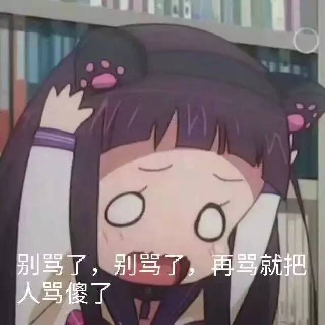 别骂了别骂了再骂就把人骂傻了