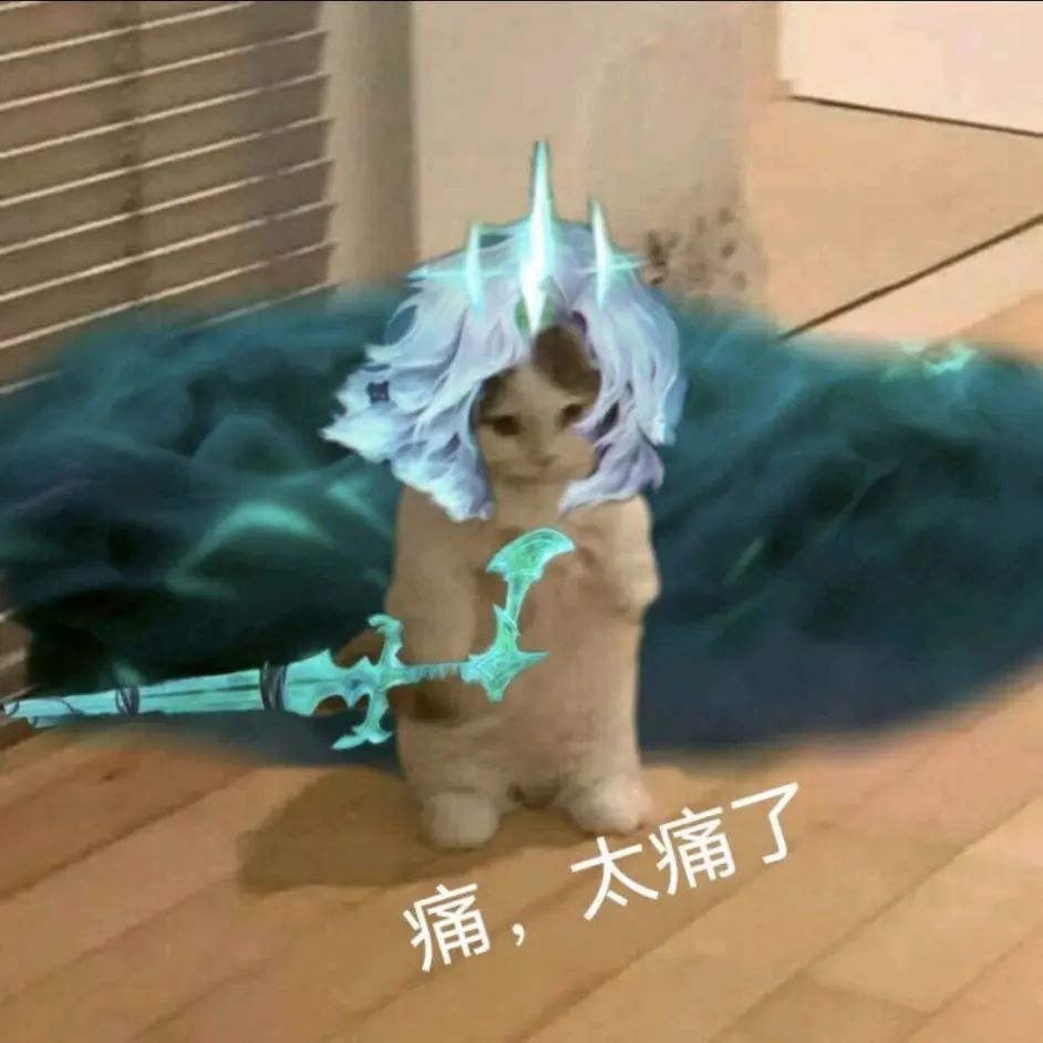 破败之王猫咪表情包