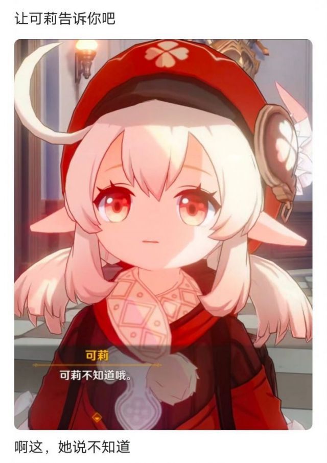 让可莉告诉你吧表情包