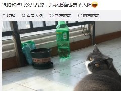 很抱歉占用公共资源